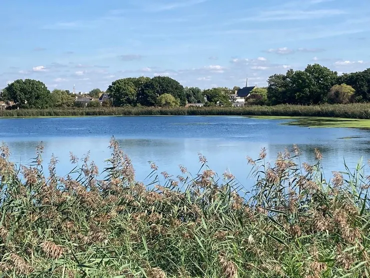 在那一天，我終於可以靜靜地欣賞湖面。一整個下午留了在湖邊，並不急著回去工作。