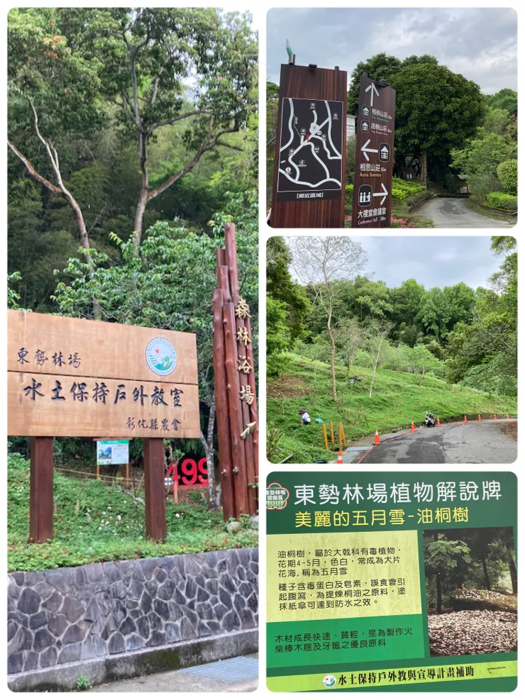 漫步在大自然裡,放鬆又舒壓!