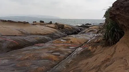 [新北旅遊]世界海岸奇觀之一的野柳地質公園，三十多種海岸海蝕