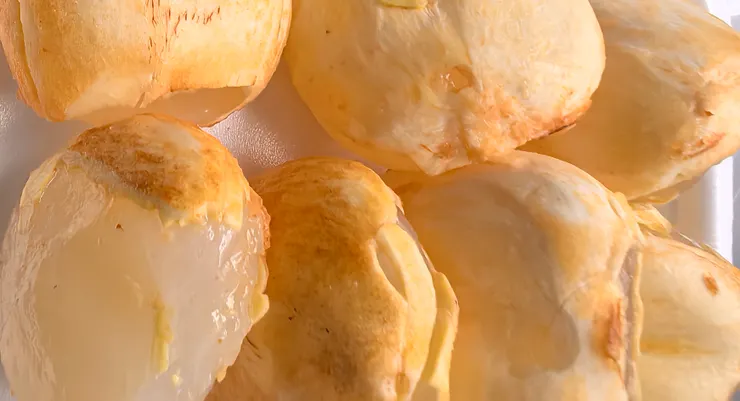 棕櫚樹的海底椰