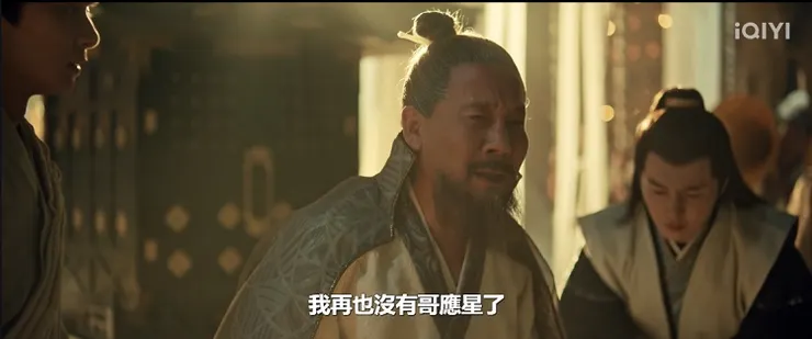 長毛的陳年普洱茶