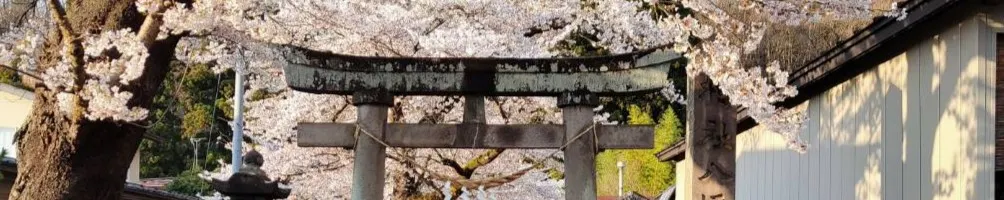 勗愷酥酥隨便聊