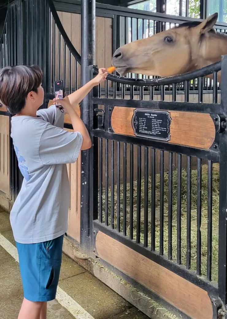 我們拿紅蘿蔔餵食馬兒,與馬兒近距離接觸,馬兒實在太可愛了