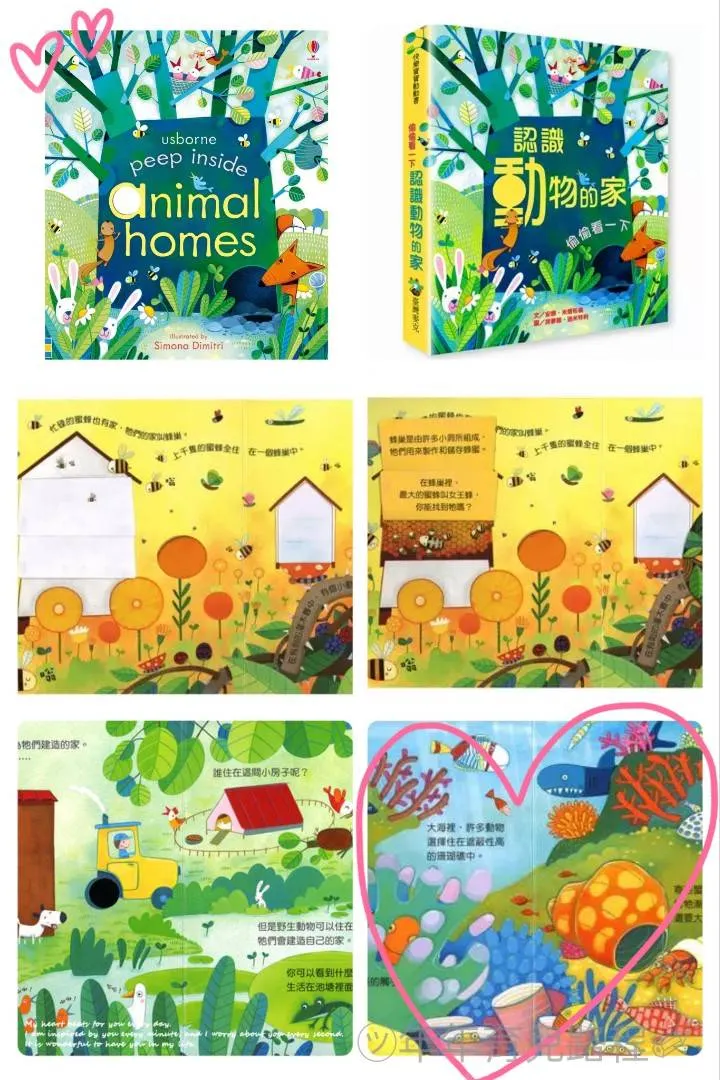 安納．米爾布倫(認識動物的家)