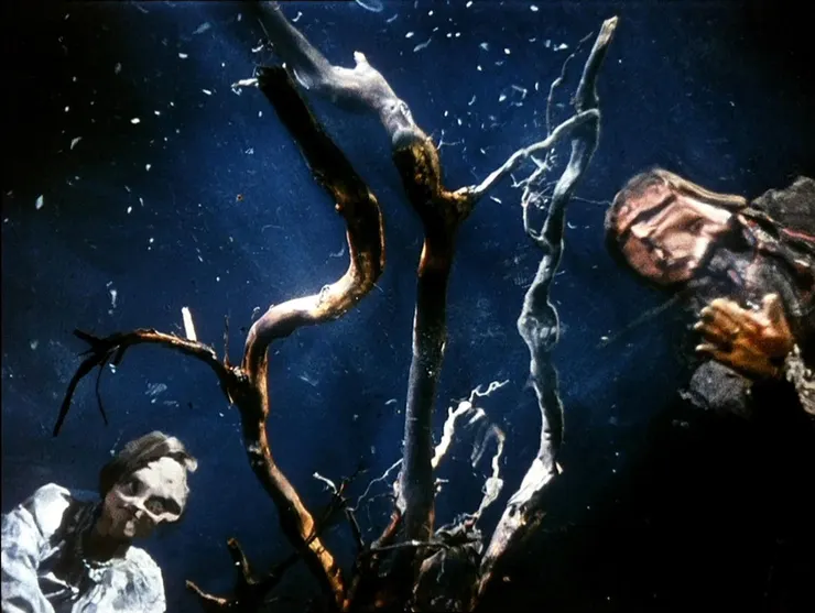 29.《被遺忘祖先的影子》（Ті́ні забу́тих пре́дків，1965）🇺🇦 dir. Sergei Parajanov