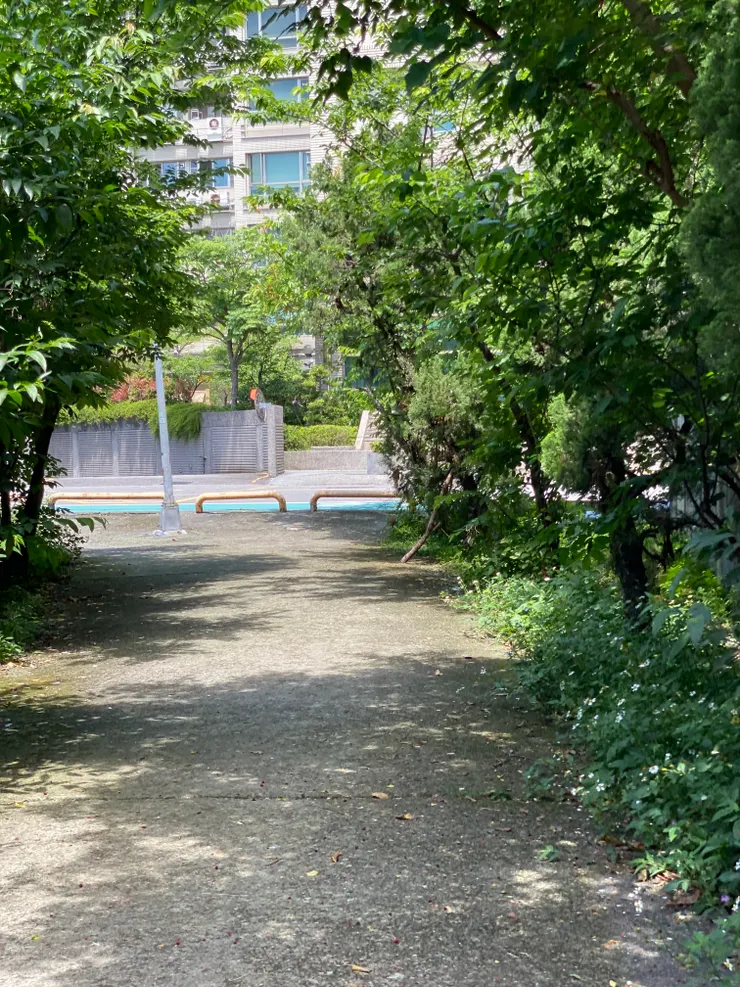 這些畸零地都是萬盛溪河道。從小樹叢中間，準備穿過興順街。