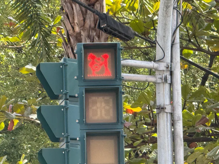 屏東專屬有趣的小綠人