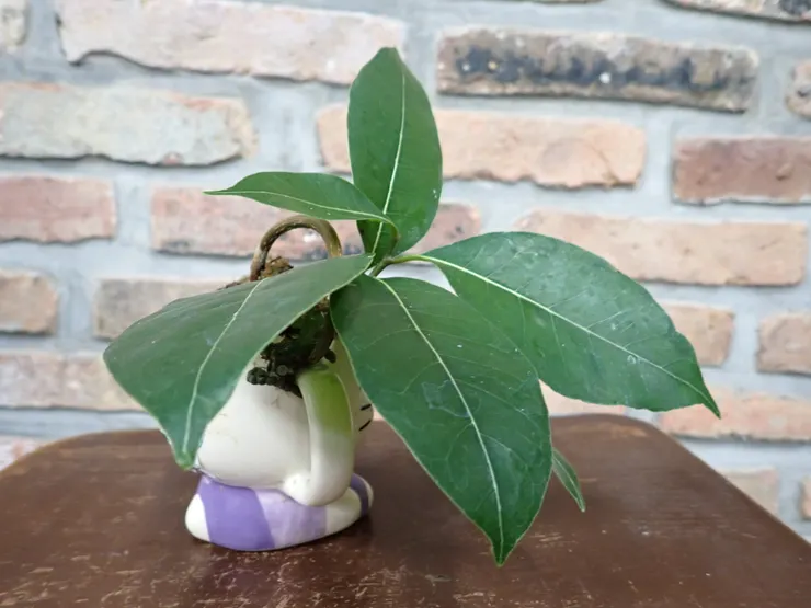 淡水社大114.09.02