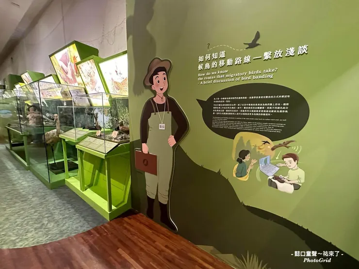 一一細看、觀察其實內容很豐富。