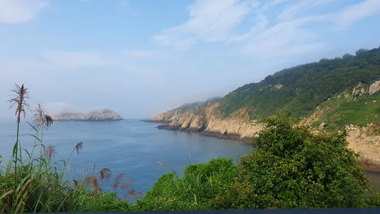 林坳嶼