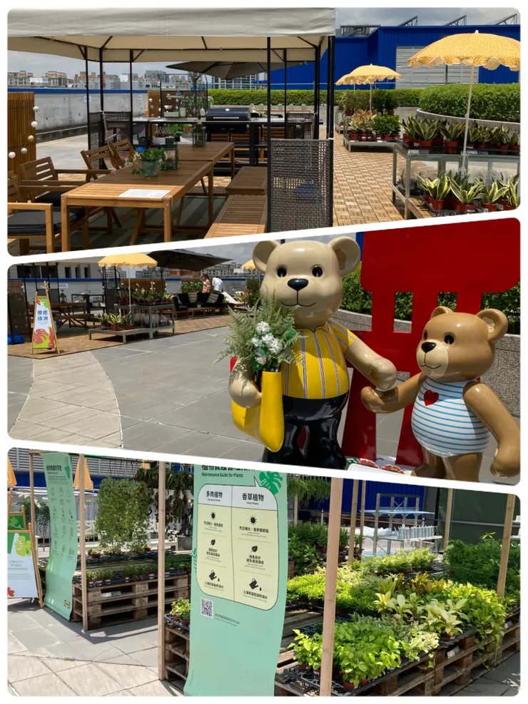 有植物照顧的介紹看板