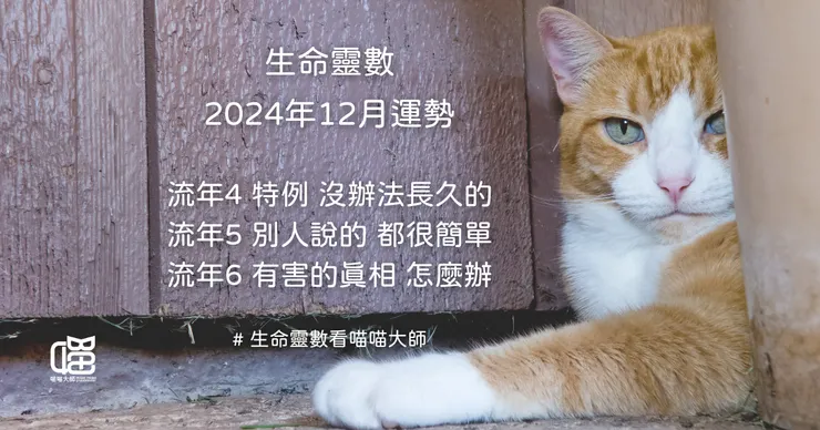 生命靈數看 2024年12月運勢-流年4、流年5、流年6