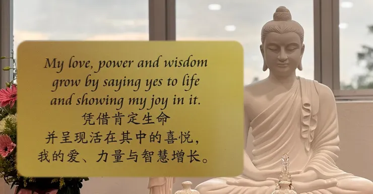 背景圖來源：樂定禪苑