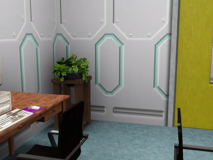 課室一角的植物。