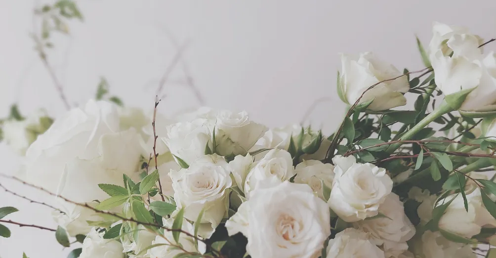 Pola's Living的沙龍