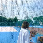 烏龍深珊的沙龍