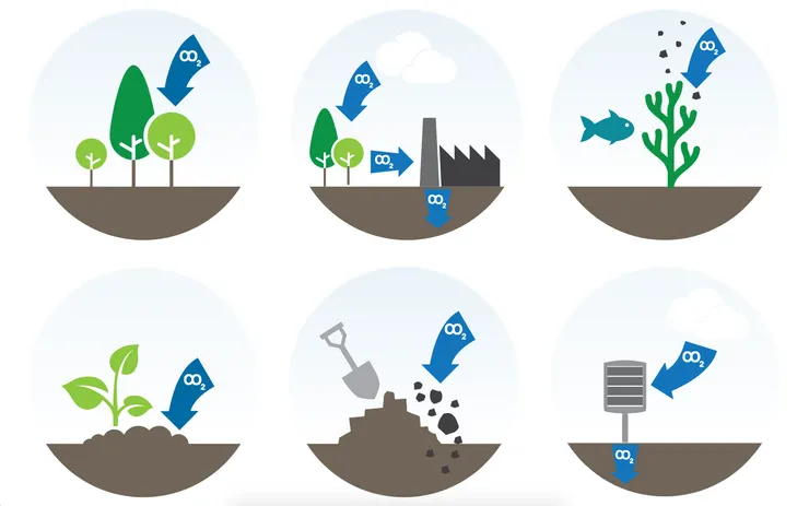 各種碳移除的途徑。(圖片來源:MCC - mcc-berlin.net/)