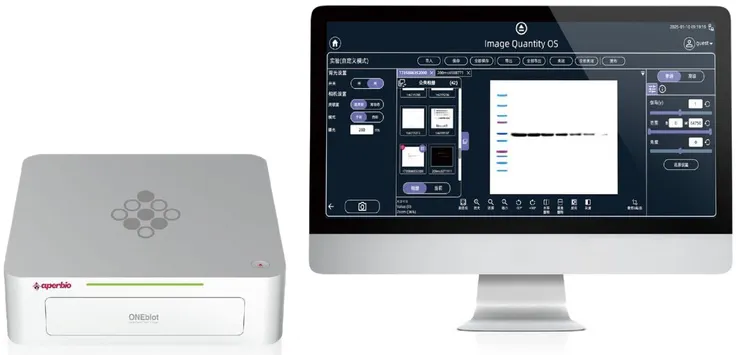 圖說：Aperbio以自動化流程整合為核心，將西方墨點法（Western blot） 實驗流程智能化，減少人力投入並提升一致性。（資料來源：偉喬生醫）