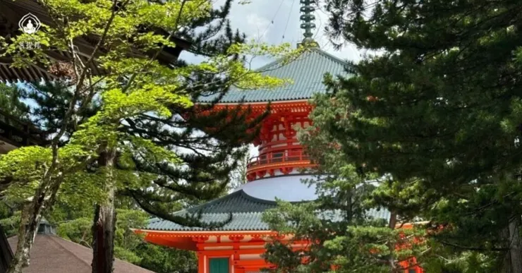 高野山壇上伽藍根本大塔,紅白相間建築被綠意包圍