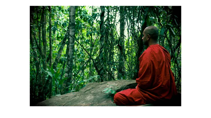 冥想的比丘