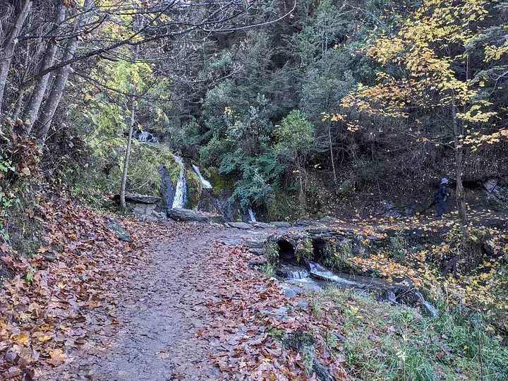Sawpit Gully Track / Arrow River Trail / Motatapu Track