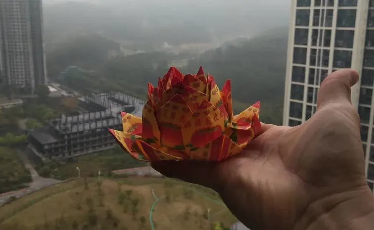 大丰常春藤面向華丰寺自拍