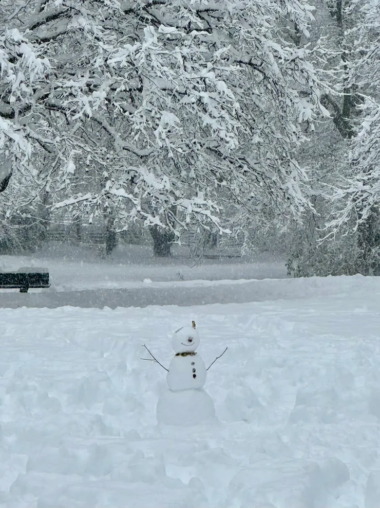 一路上已經看到將近十個雪人從雪地中長出來