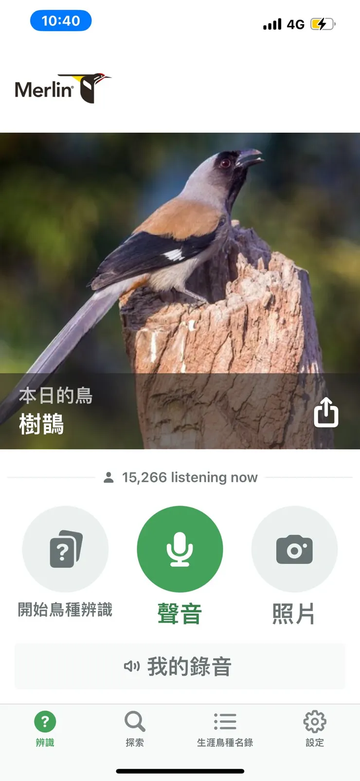 圖01 多利用機會熟練eBird及Merlin的功能及操作