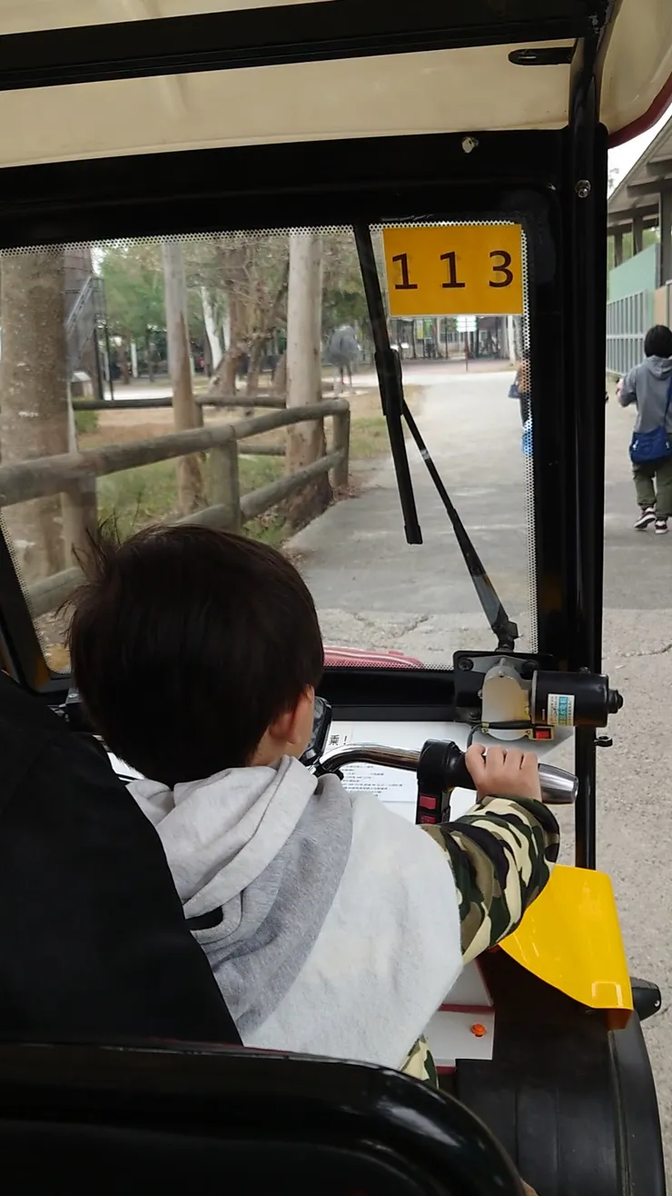 你的小司機已上線