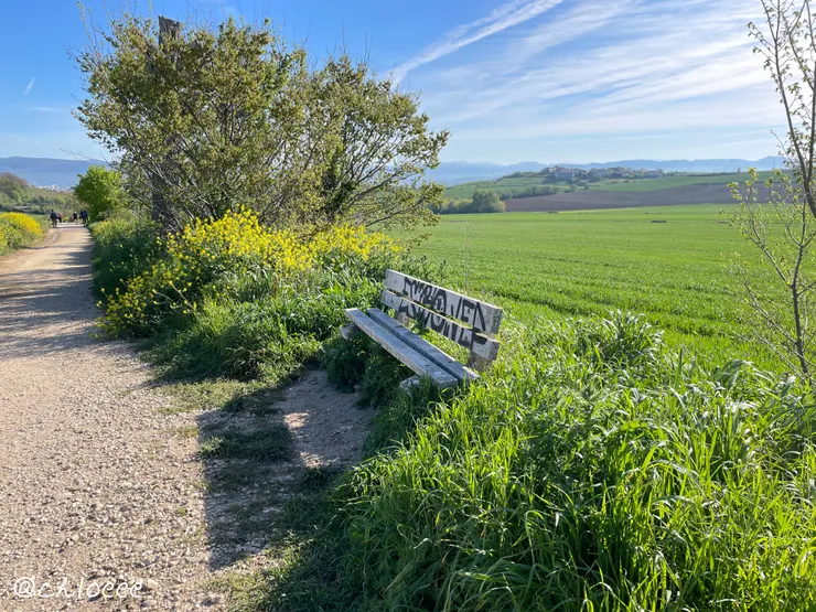 路邊休息的椅子,視野超級好
