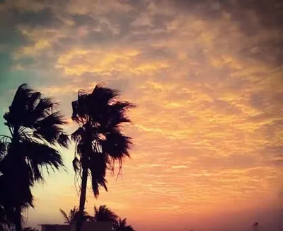 冰心的秘密花園