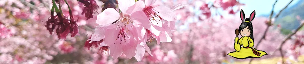 兔子亂畫RabbitBlackWhiteDraw