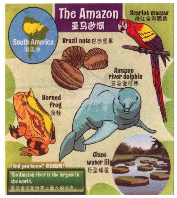 使用書籍附圖亞馬遜河練習TCO