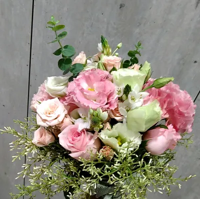 奇諾可非主流世界