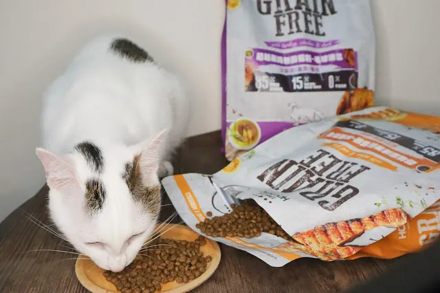 PETA寵物｜ABSOLUTE HOLISTIC超越顛峰-護膚亮毛(幼貓蔣蔣吃得超開心)