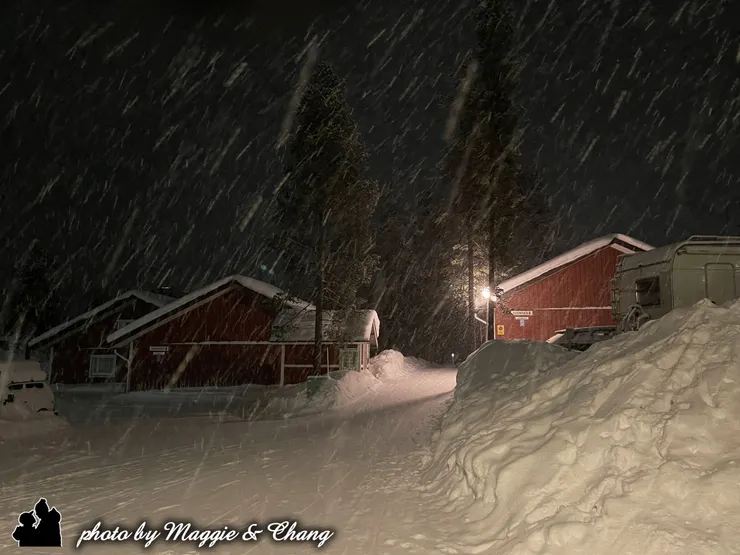 夜色中大雪紛飛,北國風情滿滿。
