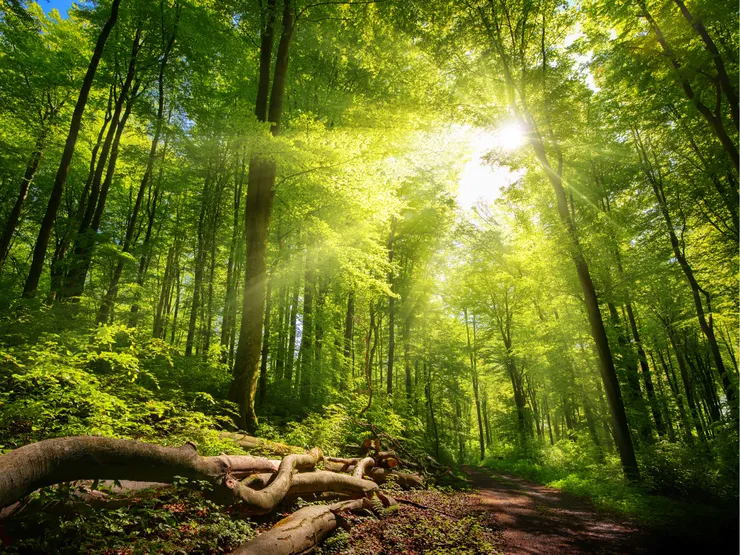 與大地連結，重新找回內在的寧靜