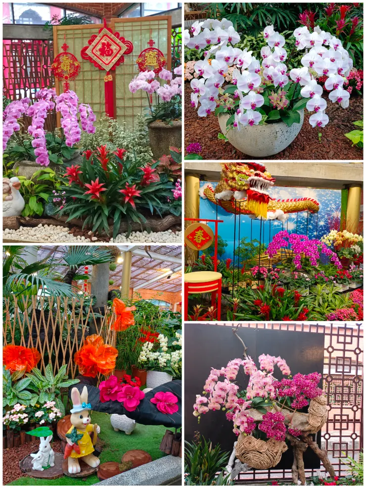 蘭花3