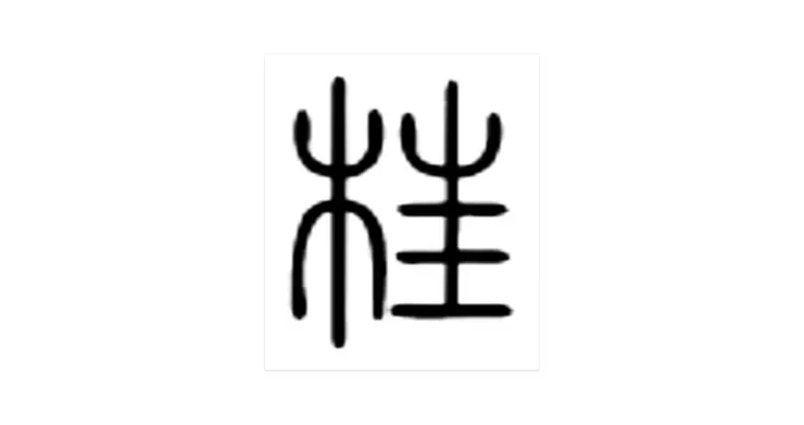 【附圖:漢字「枉」的篆文字體】