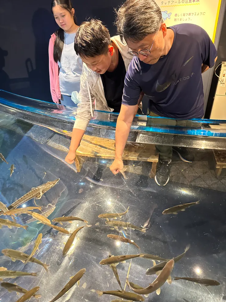 體驗觸摸池，這水好冰呀，等不到魚來，就凍得我受不了