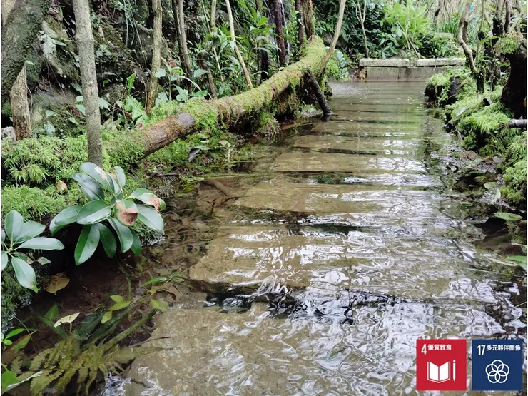 傳說中的....等魚步道