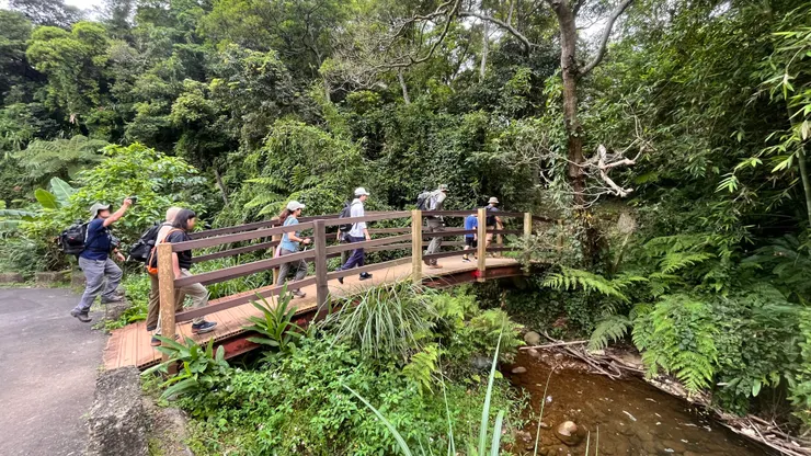 林口森林步道，家山之一