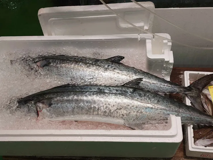 其中一攤賣的魚，我不知道是什麼魚，但感覺挺新鮮的~