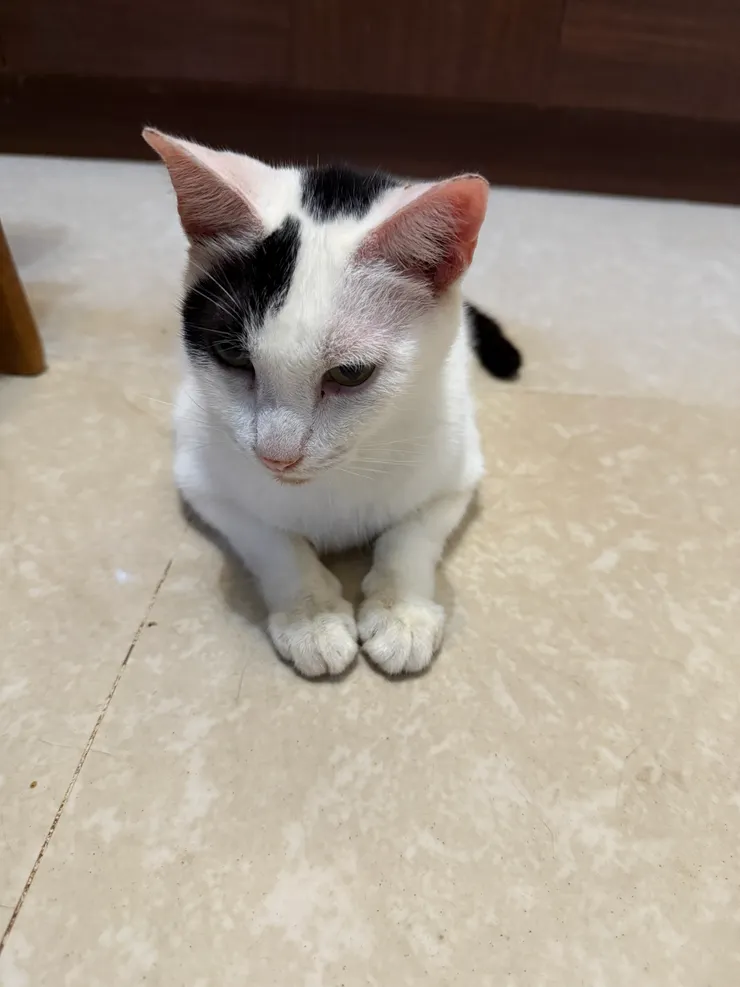 牛仔:你要拍到什麼時候???