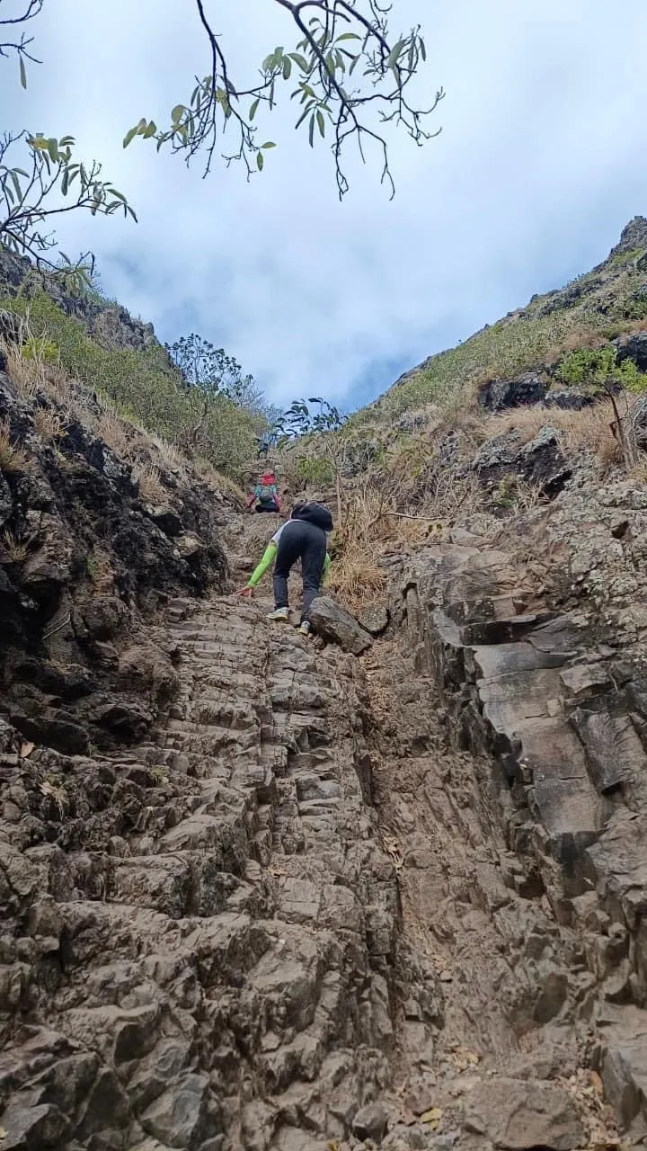 每位上莫納山的山友都和當年的黑奴一樣奮力往上攀