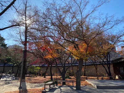 我和阿爸的首爾八天七夜之旅