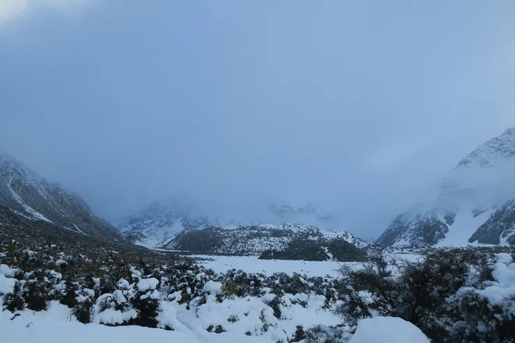 逐漸接近傍晚時分,銀白的雪景慢慢加入了淡藍,氛圍變得有點憂鬱