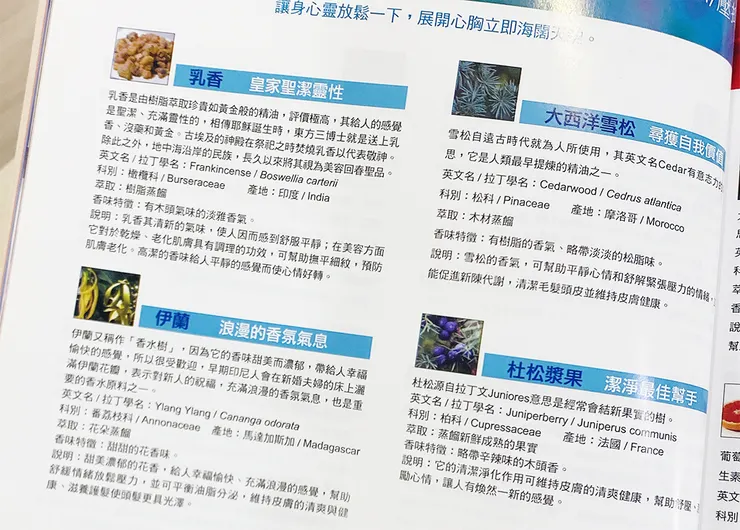 台北泰式按摩推薦【花廂鳥語】精油按摩，五行精油│泰式按摩推薦（預約制）