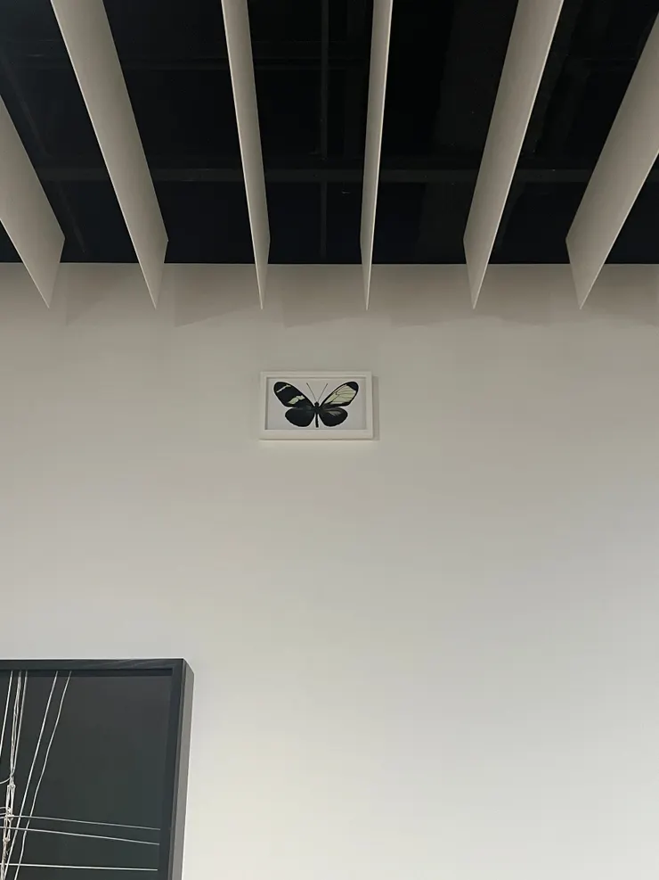 展覽角落的蝴蝶影像。本文作者攝。