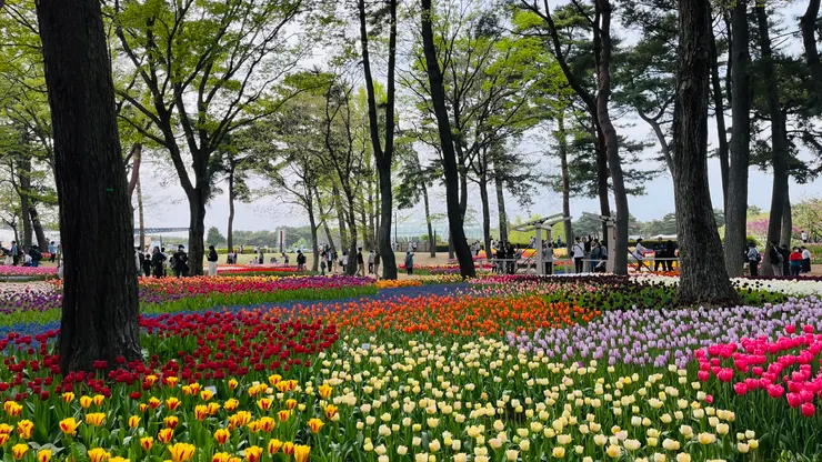 看過去很像一幅畫。